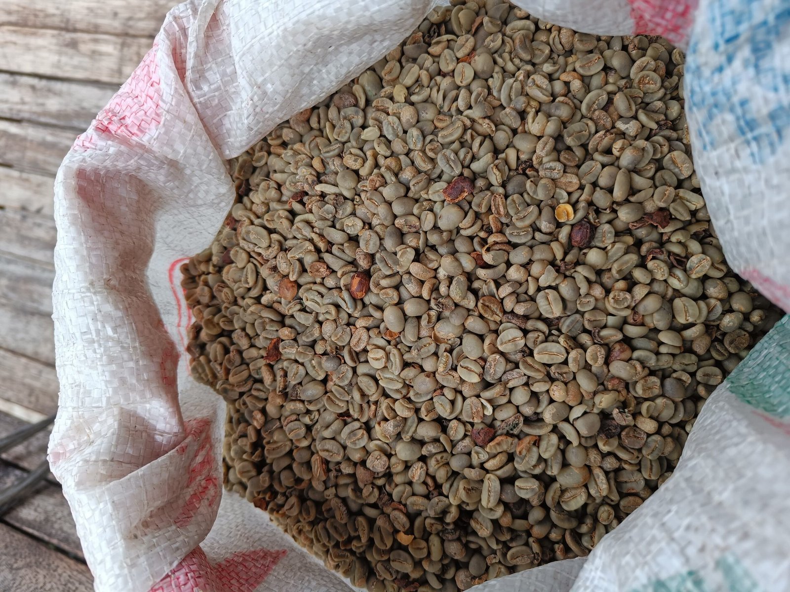 Raw Common Coffee Beans